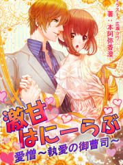 激甘はにーらぶ　愛憎～執愛の御曹司～_H